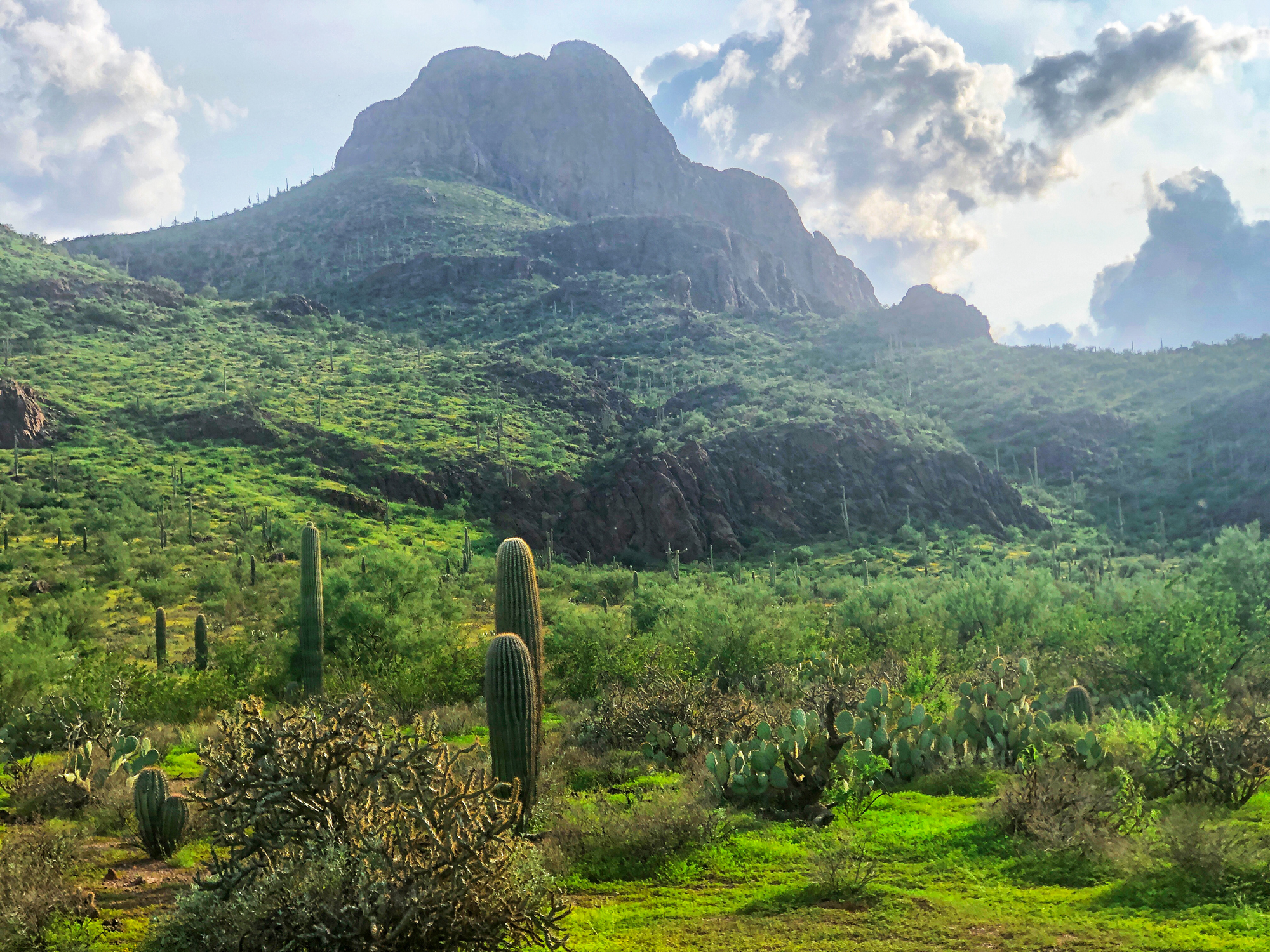 Sombrero Peak