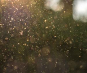 Dust particles in Tucson that impacts indoor air quality